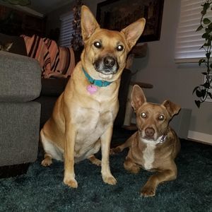 Meet your Posher, Mae